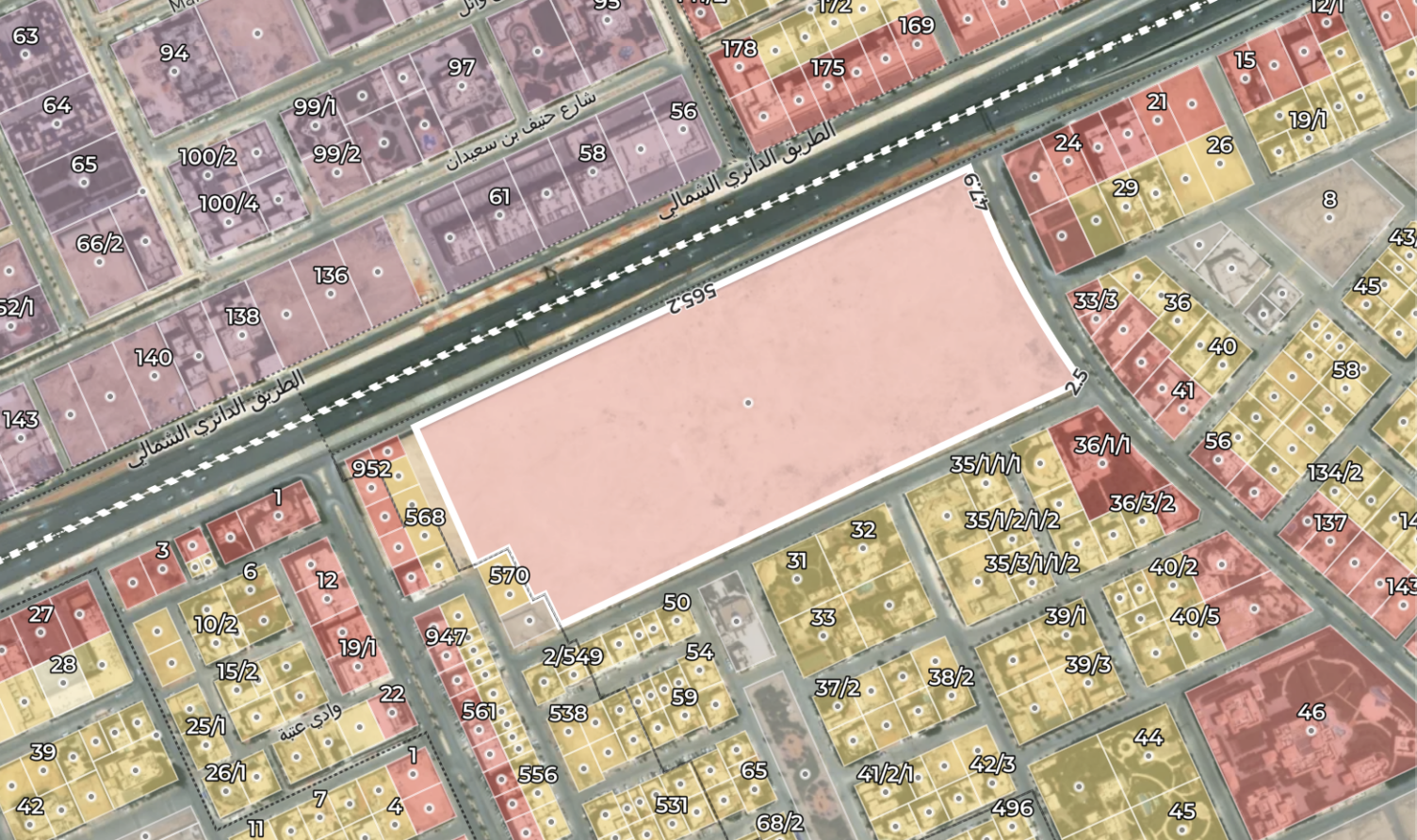 اراضي خام النخيل